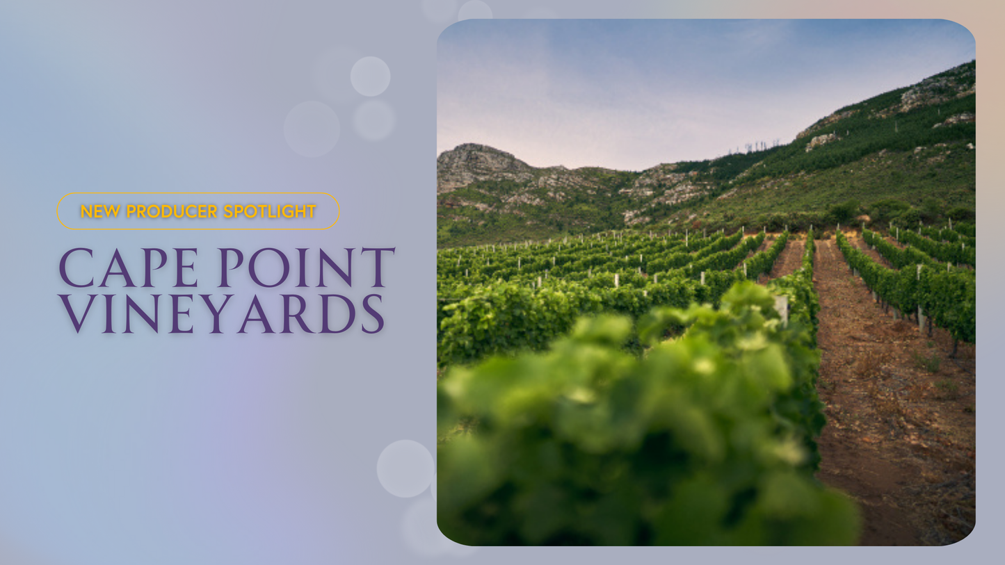 Cape Point Vineyards: Premium Sauvignon Blanc with a Coastal Influence