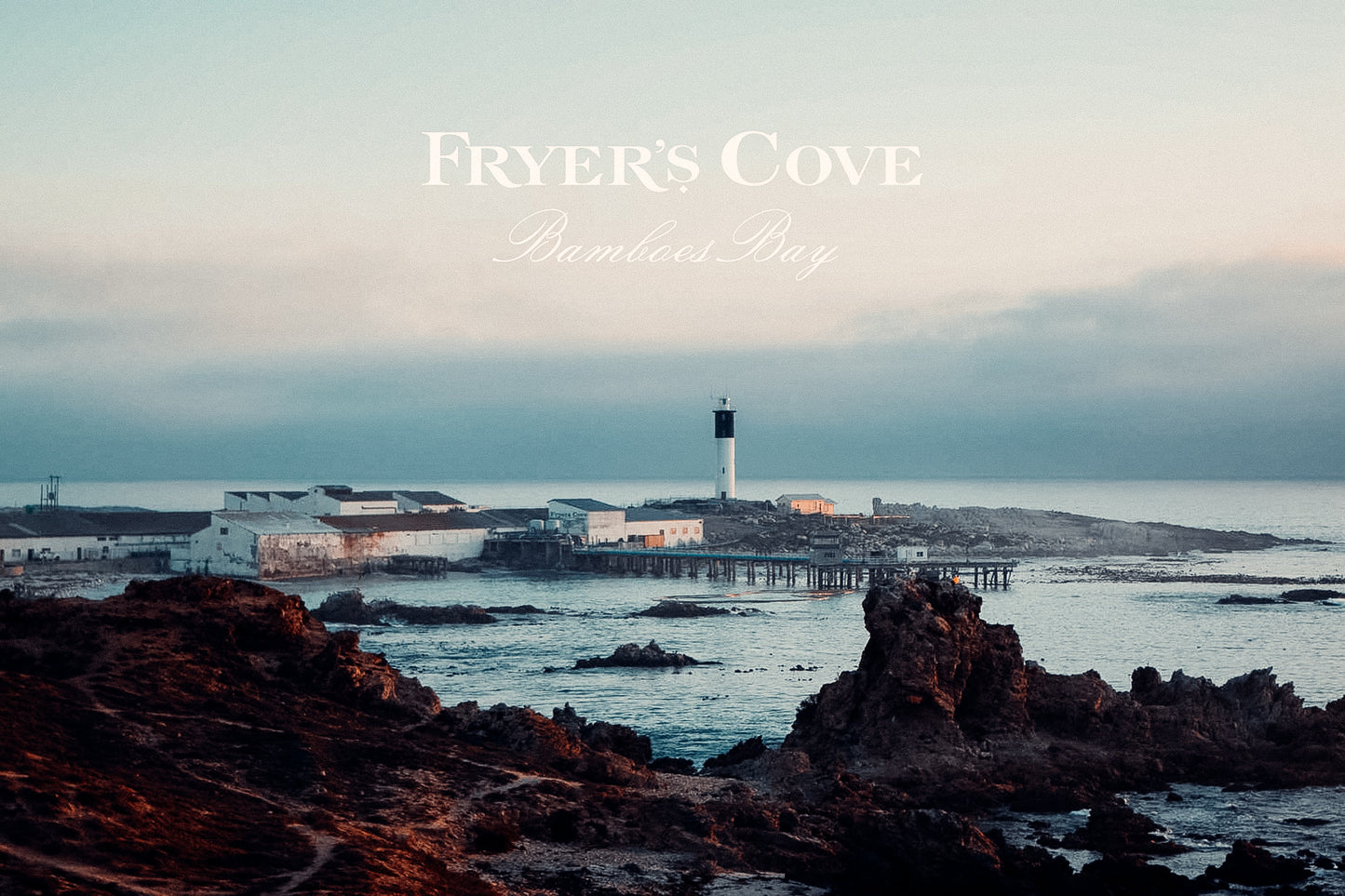 Fryer’s Cove: New Producer specialising in Sauvignon Blanc