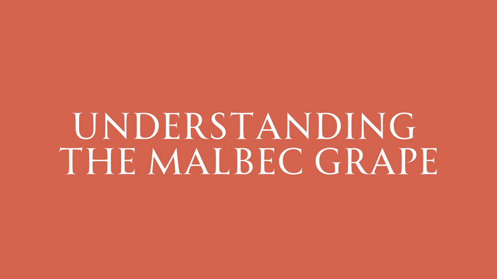 Know Your Grapes: Exploring Malbec from South Africa