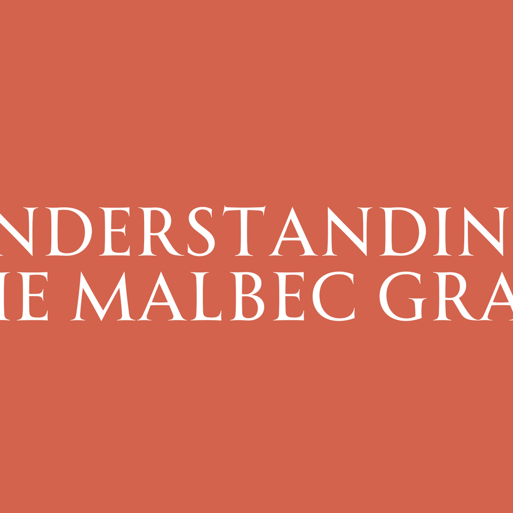 Know Your Grapes: Exploring Malbec from South Africa