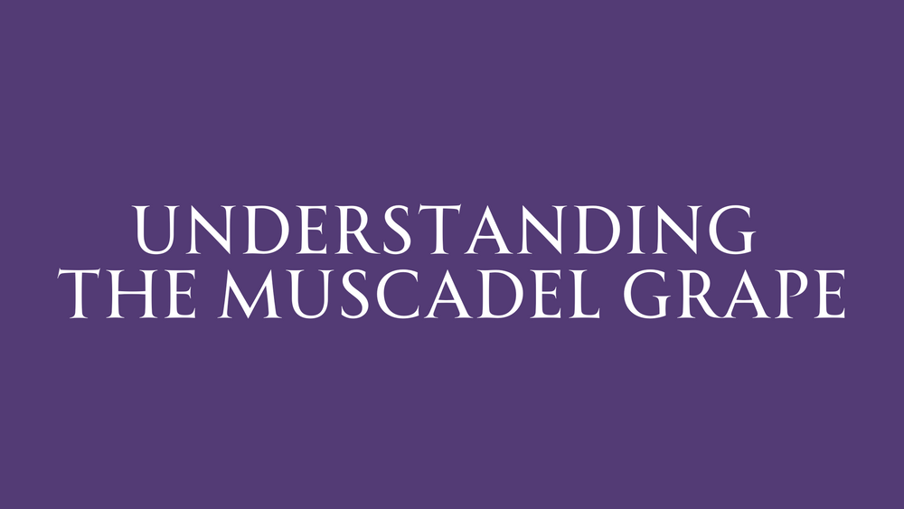 Know Your Grapes: The Muscadel