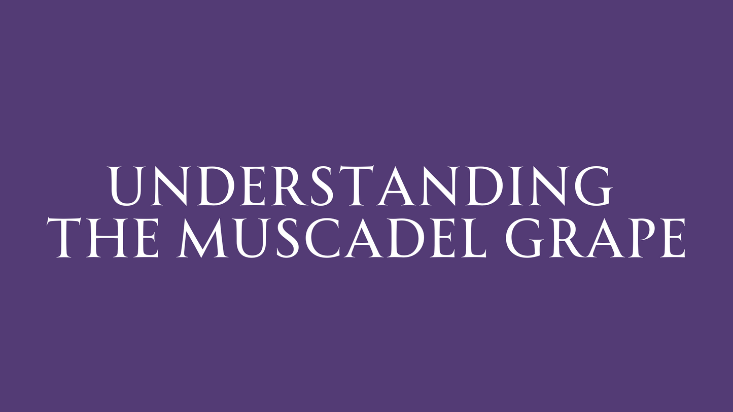 Know Your Grapes: The Muscadel