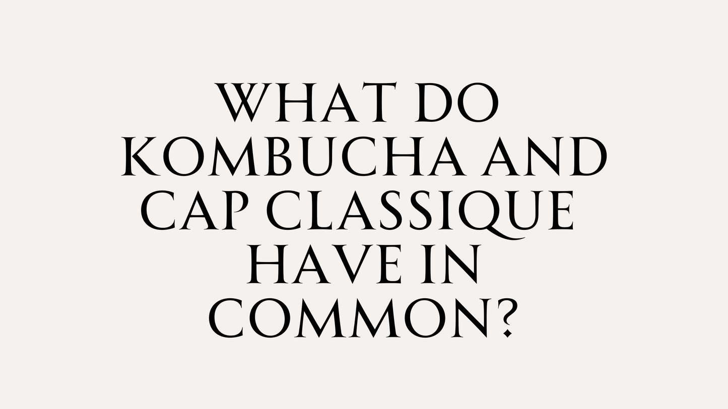 Why Cap Classique Is Like Homebrewed Kombucha—And Why You Should Try Both