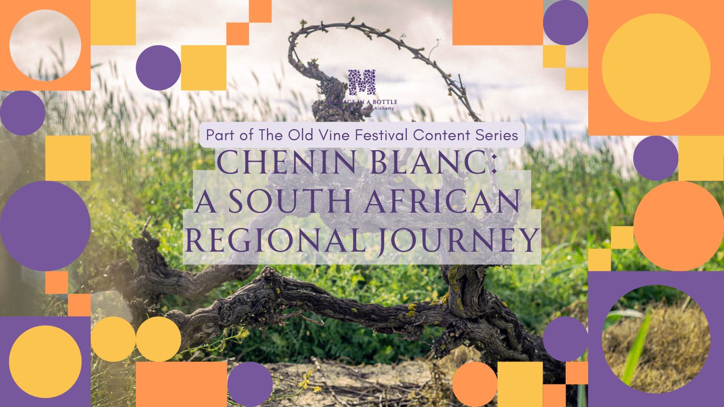 Chenin Blanc: A South African Regional Journey