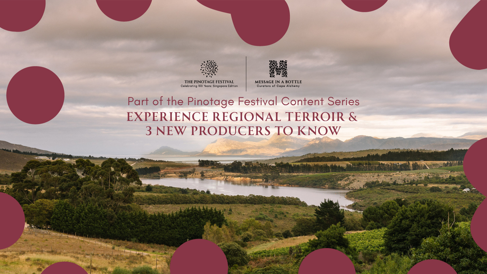 Experience Regional Terroir at Pinotage Festival: 3 New Producers to Know