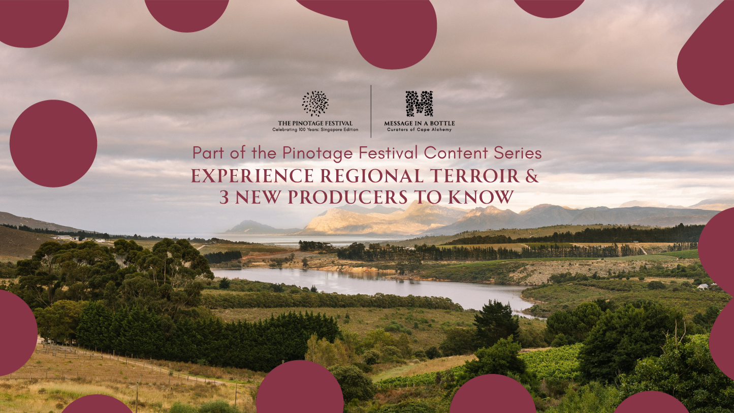 Experience Regional Terroir at Pinotage Festival: 3 New Producers to Know