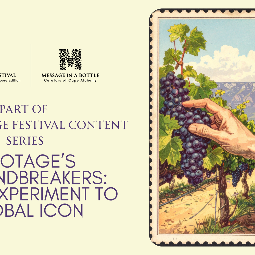 Pinotage’s Groundbreakers: From Experiment to Global Icon