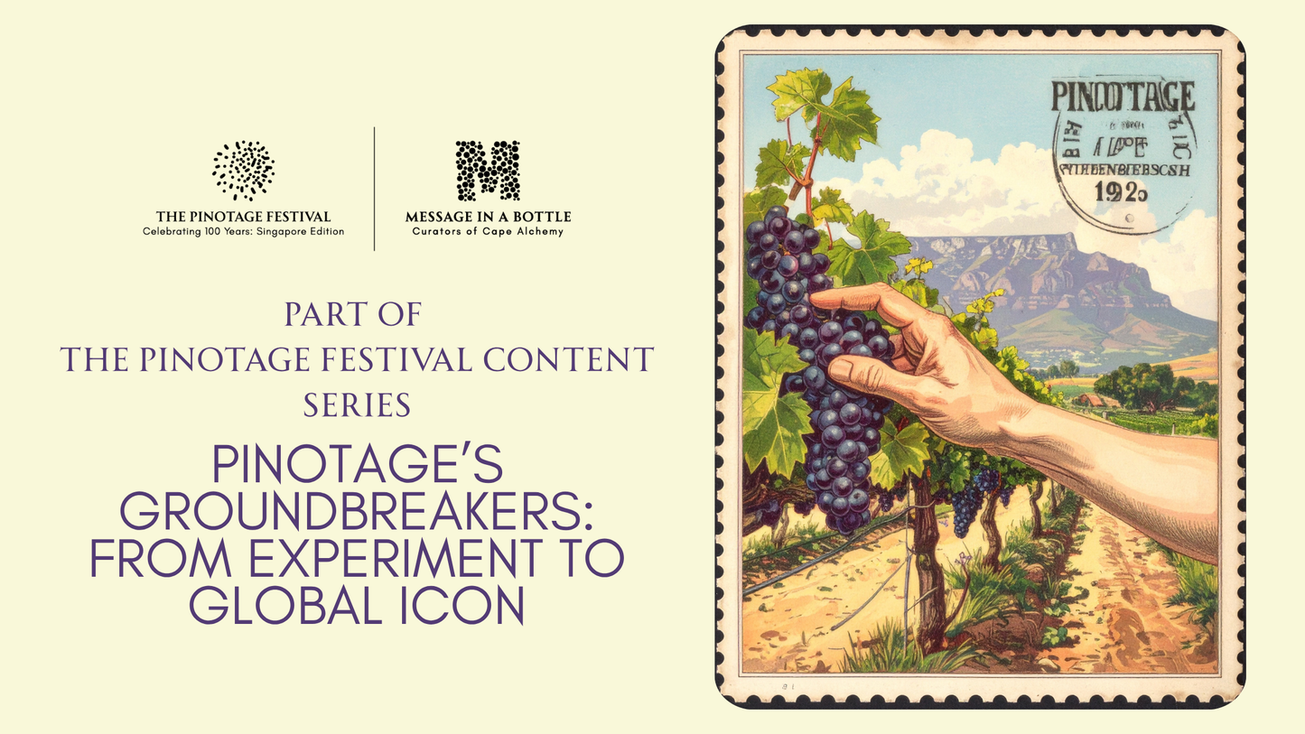 Pinotage’s Groundbreakers: From Experiment to Global Icon