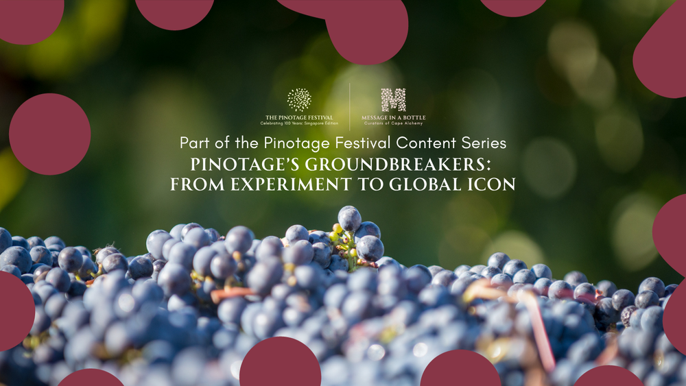 Pinotage’s Groundbreakers: From Experiment to Global Icon